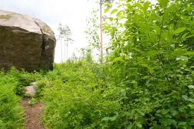 View while approaching